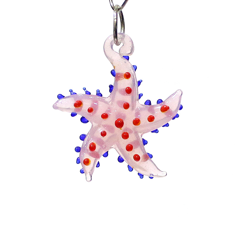 Aquarium And Marine - Lucu hewan laut bintang laut pesona