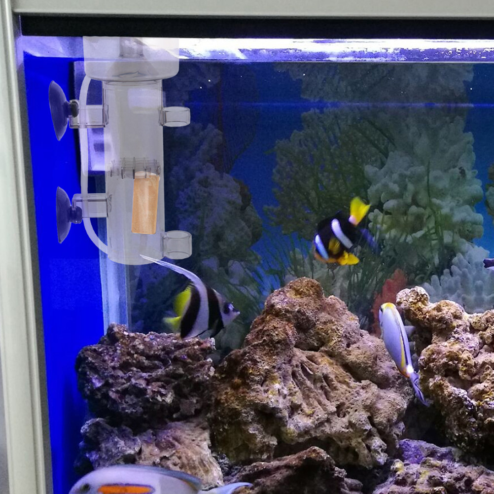 Protein Skimmer Internal Mini  - Aquarium And Marine ulasan dan harga